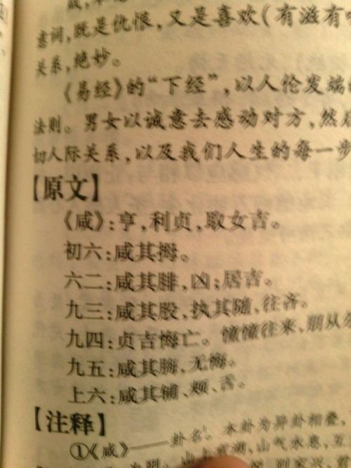 芬字：木之韵味与生机