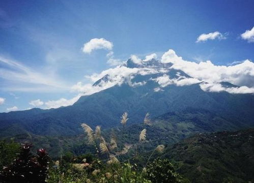 神山景区：不作死就不会死