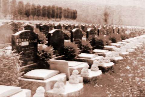 公墓陵园位置风水好吗,公墓哪个位置风水Zui好