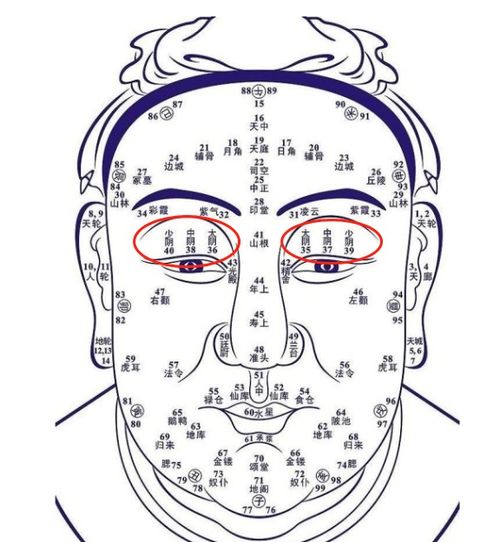 震惊！山根疤痕竟能决定你的命运？2026年最新破解秘术大公开