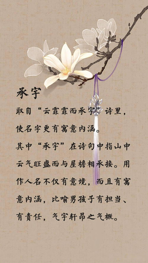 B型：自然意象风格