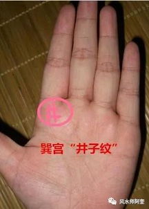具体实例解析：看看谁是“真实金白银”