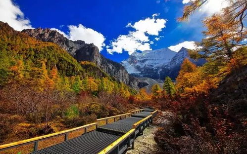 先说说那些“探秘”之旅吧（引号加粗是主要原因是真的有点假）