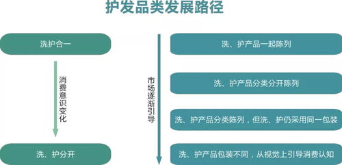 概念与背景
