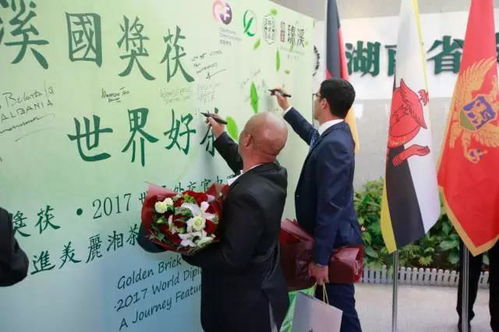千年茶韵，浙里传承创新，茶文化爆款来袭！