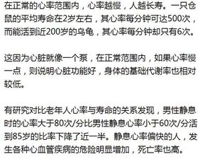 马到成功秘籍