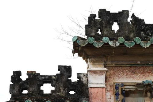 四、金瓶梅古书：千年树木的守护者