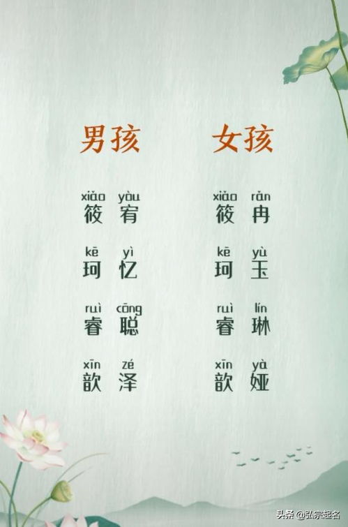 前言：一场杂乱的命理与取名狂想