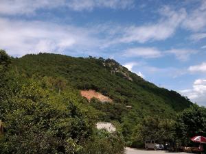 二、 天然风光：紫帽山&较深沪湾海底古森林（自带BGM）