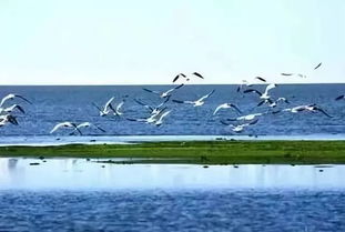 前言：我为什么要写这篇东西？