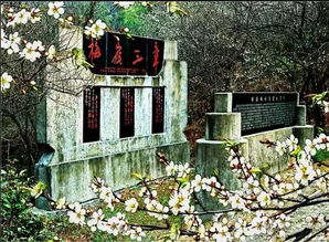 牡丹亭文化园，古典文化的魅力所在