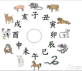 **风水与环境:聚气纳灵**