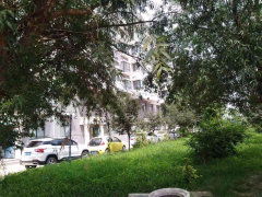 屋外栽什么花树吉祥如意,住宅外部环境风水