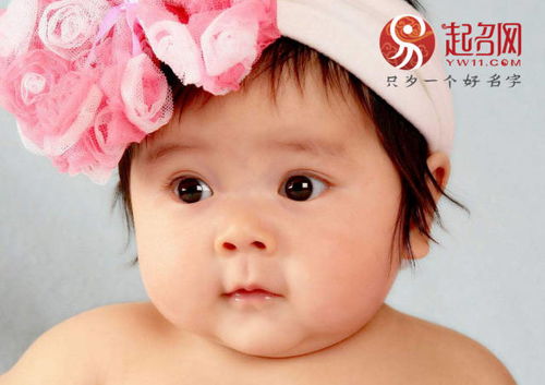 那一些你不了解还能够叫的较小名（噪声版）