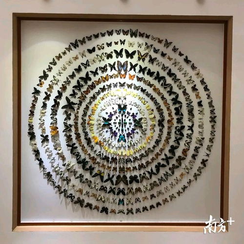 神秘展品：西安出土的汉代