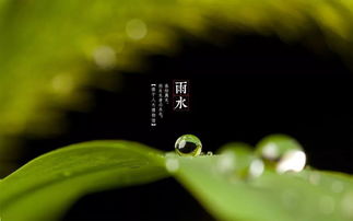 雨水养生？先保住小命再说吧！