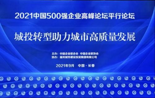 双雄概览：老牌A公司 vs 新锐B集团