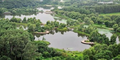 净月潭的喧嚣与宁静