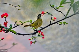 小溪竹林的风水寓意,小溪竹林古诗大全