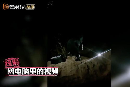 星座与情劫：星盘揭秘宿命？