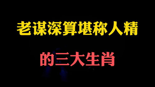 老谋深算的生肖是哪个？