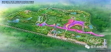 2.2 寿光蔬菜博览园：绿色之旅？还是一个巨大的菜市场
