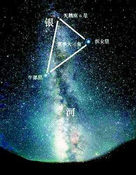 七夕限定！年度最虐狗爱情故事