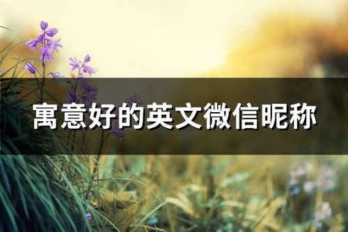 微信昵称：母亲情感与风水的交融