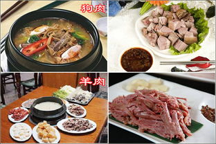抵达小河龙：千年古松和…鸡爪