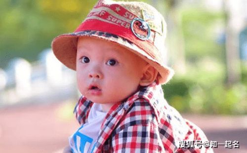 牛年男孩温文尔雅的名字解析