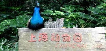 交通篇：西游记取经都比这容易