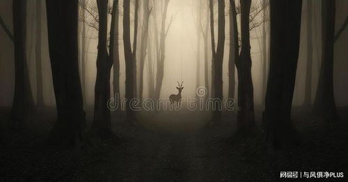 刺股悬梁，夜半鬼哭，寒风彻骨，这是怎样的凄凉景象呢？