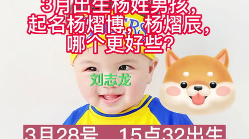 二、 2023年杨姓男孩起名趋势