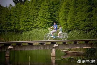 1. 九洞天景区——水里有洞，洞里有星星