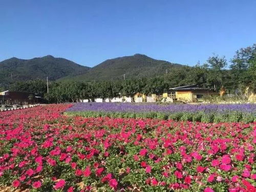 一、 开场白——乱七八糟的旅行心情