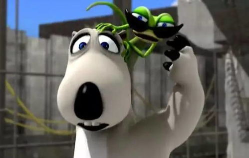 二、星座乱入：倒霉熊到底是哪颗星？