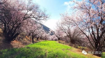 春日里的那个梦， 佛宝山啊佛宝山