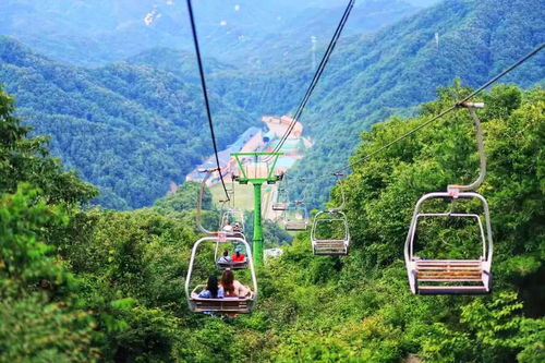 伏牛山省钱秘籍！2026年黄历+天气预测助你玩转神山
