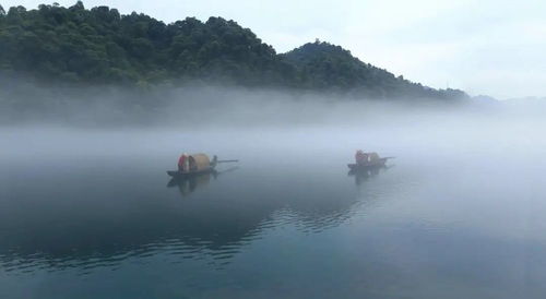 1. 云雾中的梯田