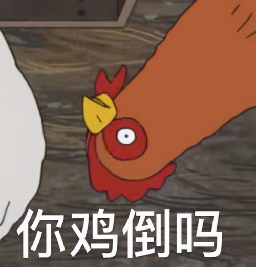 1. 先聊聊为哪些要给午时猪宝宝带点水