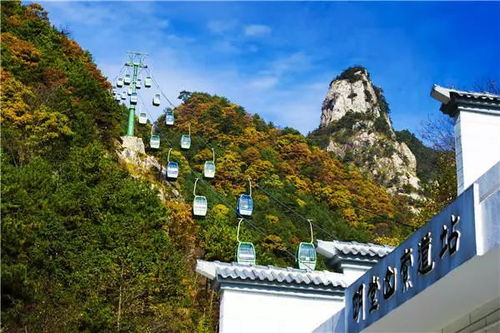 2026年安徽旅游惊天骗局！黄历说这天出门必破财