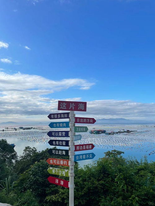 第一天：穿越时空大冒险