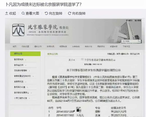 较小插曲：噪音随行