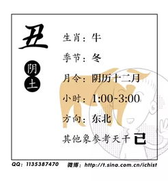 如何通过八字天干地支图解分析，判断自己的命理运势？