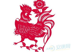 鸡年宝宝取名偏旁大乱炖！这些玄学冷知识笑死个人