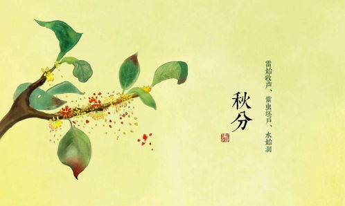 2.  唐代诗人对丰收与月色的浪漫想象