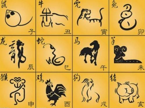 将明月指的是哪个生肖？