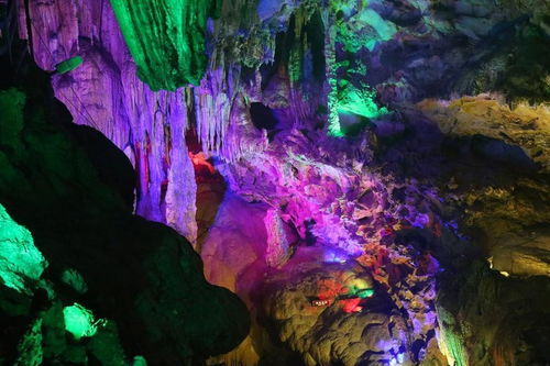 旅游小贴士：保命指南