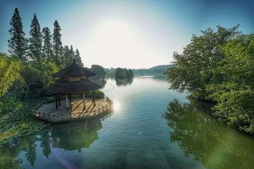 关于那个闹钟和我的心理斗争