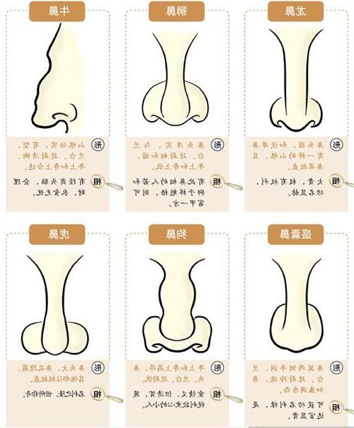 ‘将过耳秋风’中的‘耳’代表哪个生肖？‘耳’与哪个生肖相联系？
